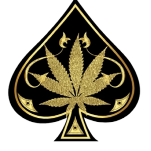 Ace Ultra premium 2g disposable