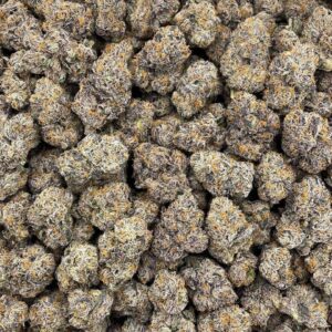 canal st runtz strain